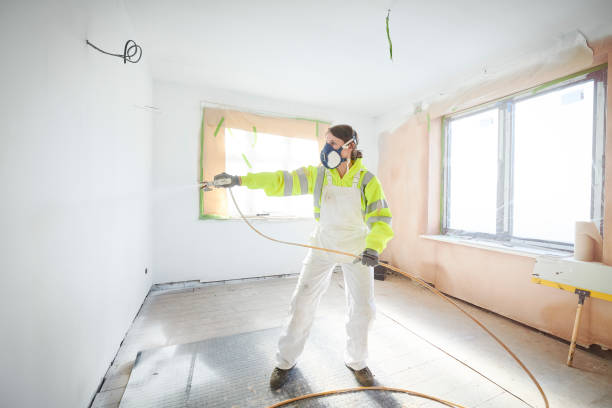 Best Attic Mold Removal  in Spencerville, NM
