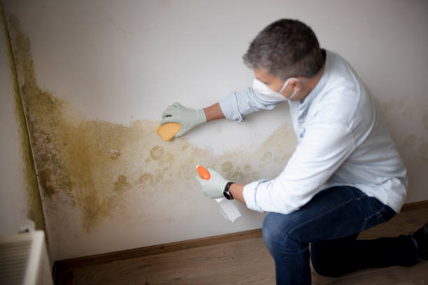 Asbestos and Lead Testing During Mold Inspection in Spencerville, NM